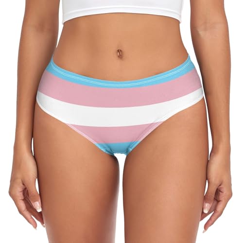 VitVerCosy Transgender Pride Flag Underwear for Womens Breathable Soft Stretch Bikini Underwears Classic Seamless Panties