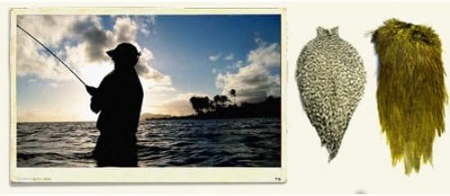 Whiting Farms American Hackle Hen Cape