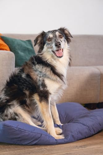 Beeztees Sofix, Hundebett, dunkelblau, 100x70 cm