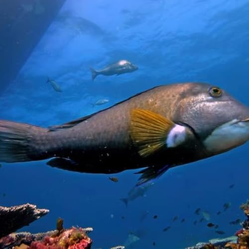 Calls for urgent clarity following fishing ban