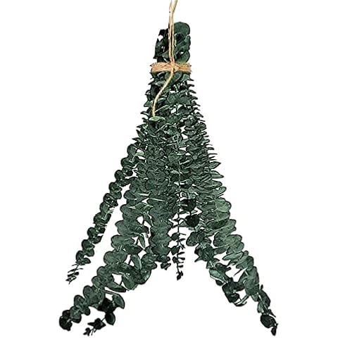Eucalyptus Garland for Shower - shower plant hanging - Natural Eucalyptus Plant for Shower, Real Eucalyptus Leaves for Greenery Decoration, Hanging Plants for Indoor Outdoor Shelf Wall Decor Cover