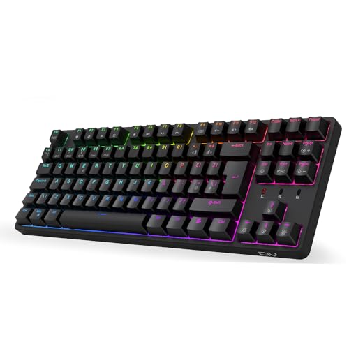 CIY Mechanical Gaming Keyboard+Magnetically Detachable Upper Cover+RGB LED Rainbow+TENKEYLESS (88 Key)+Hot Swap Switches (Black and Blue Switch)