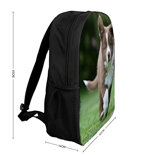 Mochila deportiva para perros en impresión 3D ideal para excursiones 2