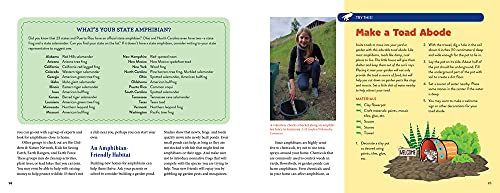 Amazing Amphibians: 30 Activities and Observations for Exploring Frogs, Toads, Salamanders, and More