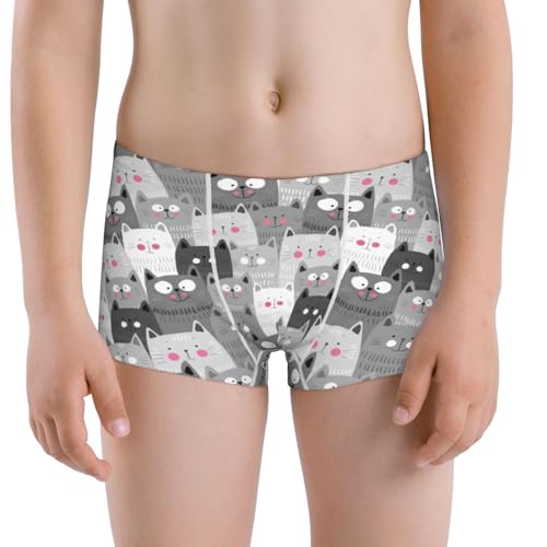 Boys' Cotton Boxer Brief Soft Underwear-Cats Group
