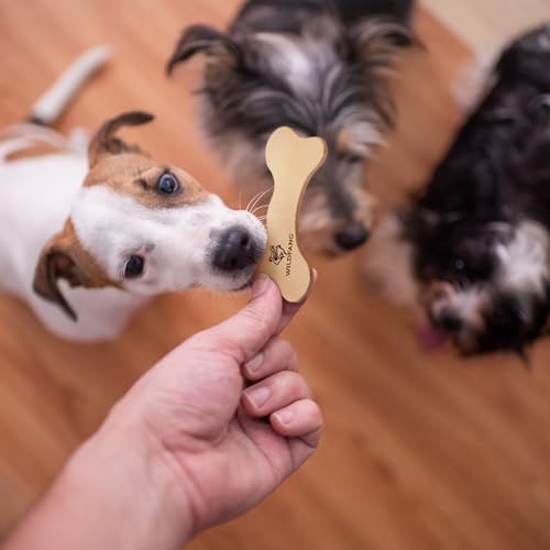 Wildfang® Leder Kauknochen Hund, Größe S – zahnpflege Hund, Hundespielzeug, kauspielzeug & kauknochen Welpen – für leichte bis mittlere Kauer (unter 1 kg), 1 Stück