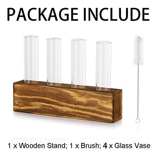 Tabletop Hanging Glass Planter Propagation Station Modern 4 Test Tube Flower Bud Vase In Wood Stand Rack Terrarium For Hydroponic Plants Cuttings Office Home Decoration, Gift For Plant Lover #TOP4