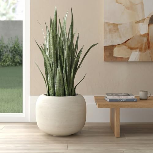 MGWILL 13 Inch Plant Pot, Elegant Planters for Indoor Plants, Flower Pots with Drainage Hole, Durable Indoor Planter for Home Decor, Fits Fiddle Leaf Fig & Monstera, Off-White