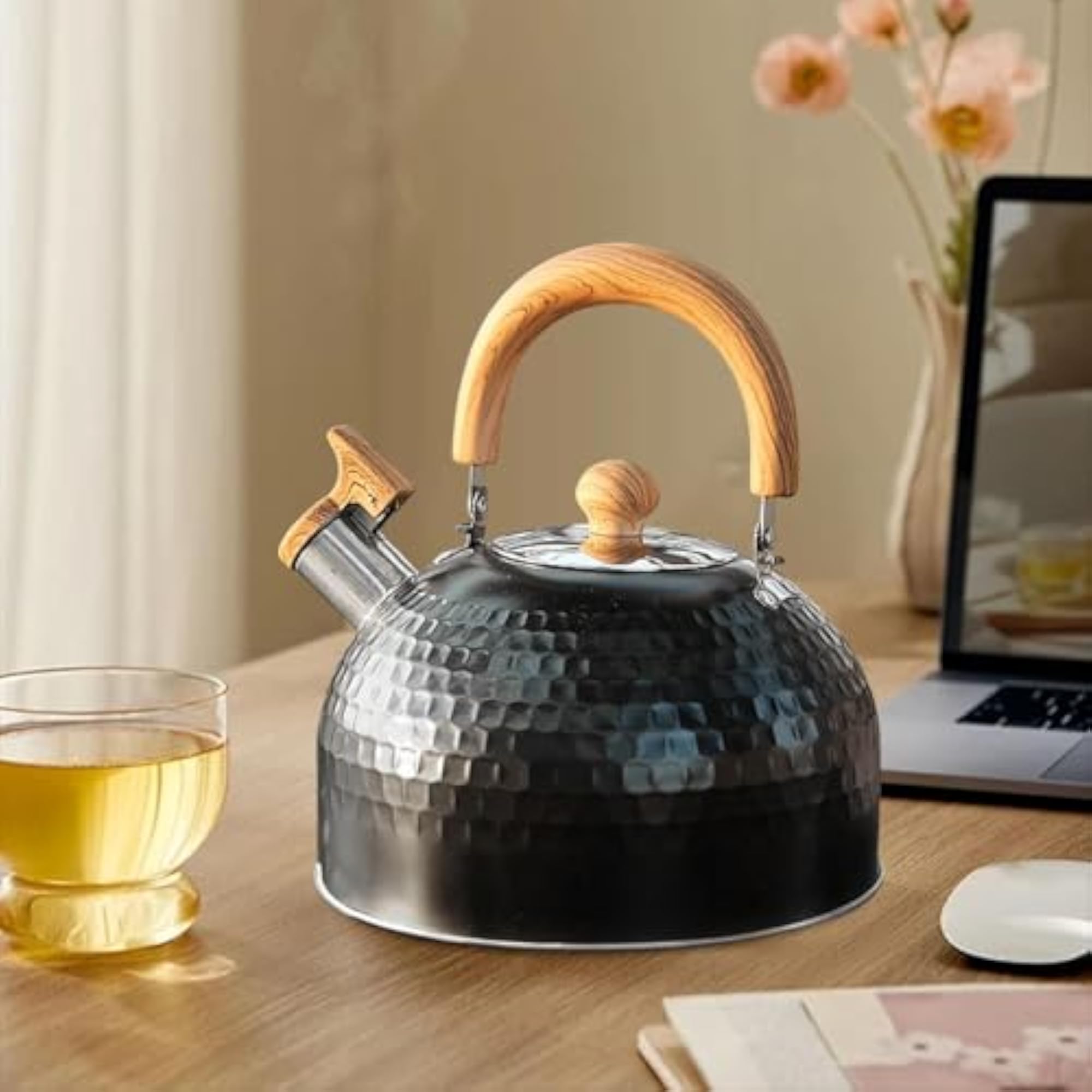 3L Modern Whistling Kettle for Kitchen