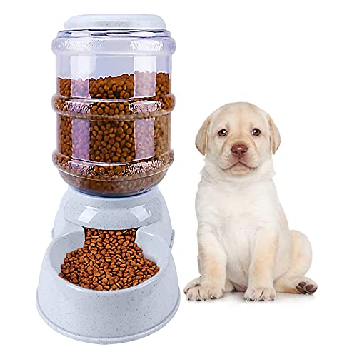 Automatic Dog Feeders for Large Dogs (Automatic Dog Feeder, 1 Gallon)