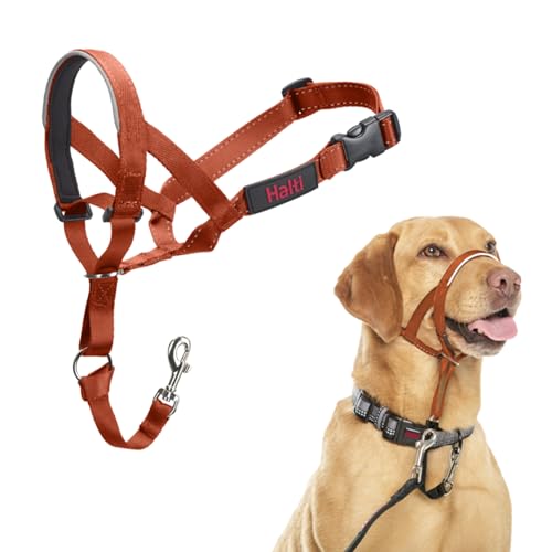 HALTI Kopfgeschirr - Verhindert, dass Ihr Hund an der Leine zieht, Einfache Anpassung, Leicht, mit gepolstertem Nasenriemen, Anti-Zug-Halsband für mittelgroße Hunde (Größe 3, Dunkelorange)