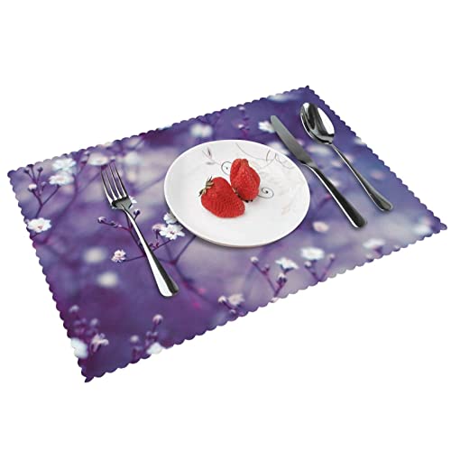 SHEYZYLTD Schöne weiße Blumen Tischsets 4er Set Cover