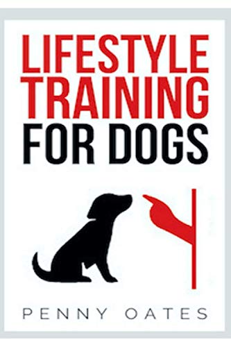 Lifestyle Training For Dogs