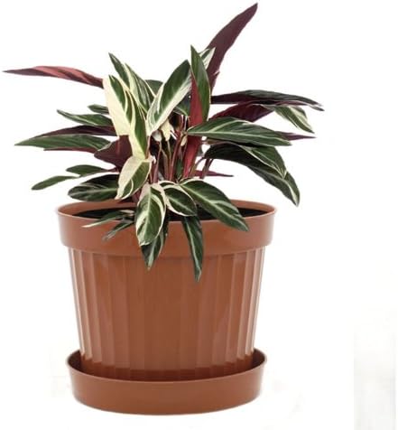 Plastic Decorative Pots #10 Terracota