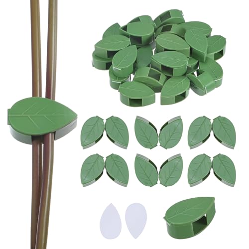 M METERXITY Pacote com 72 clipes de parede para plantas, clipes de parede de escalada para plantas,