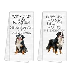 Bernese Mountain Dog