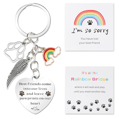 ZioTL Pet Memorial Gifts, Pet Memorial Keychain, Dog Memorial Gifts, Rainbow Bridge Paw Print Presents, Sympathy Gift, Pet Lover Key Chain
