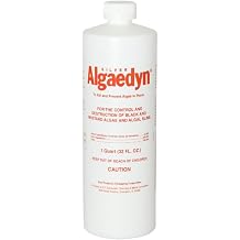 Silver Algaedyn Algae Remover Algaecide | Green and Mustard Algae Remover | Black Algae Remover | 32 oz. | 47-600 1