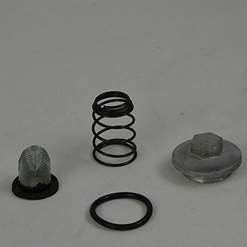 GoKartExports Kandi OEM Drain Bolt Kit for 150cc & 200cc GY6 Engines