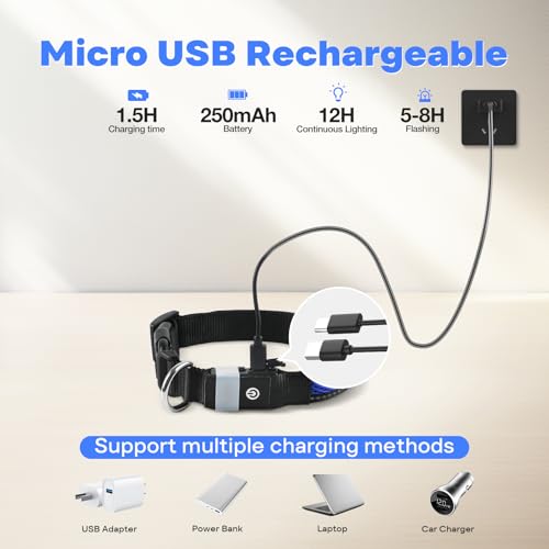 RUXAN Leuchtendes Hundehalsband USB Aufladbar, LED Hundehalsband Wasserdicht mit 3 Modi Größe Einstellbar Sicherheit Hundehalsbands für Kleine Mittlere Große Hunde für Nacht Sicherheit