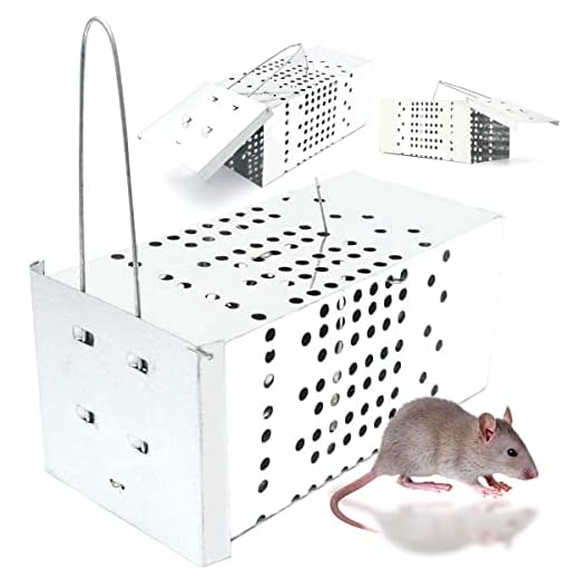 Ratoeira De Gaiola Armadilha Contra Ratos - Alta Pressão Top