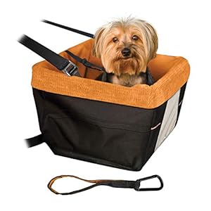 Kurgo Skybox Car Booster Seat for Dogs, Quick & Secure Installation, Includes Seat Belt Tether, Corduroy Lining, Orange…