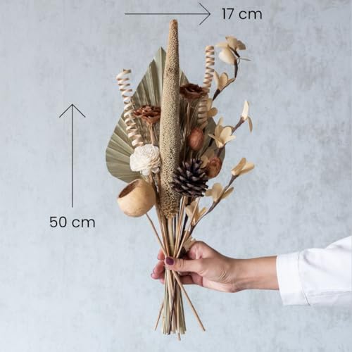 Image of Natural Dried Flower for Vase | Botanical Bliss Bunch Eco-Friendly Dry Flowers for Home Decoration, Office, Bedroom, Table Decor and Art Craft Items Corner (Without Vase Pot)
