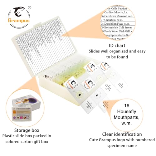Image of 30 Prepared Microscope Slides with Specimens for Kids Students - Insects, for Biological Science Lab, Children's Science Education, Homeschooling Use