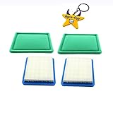 Race-Guy 2x Air Filter For BRIGGS & STRATTON 491588S 491588 399959 494245 4140 5043B 5043D 5043H