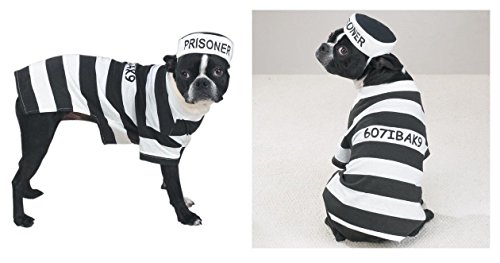 Disfraz Prisionero para Perros XSmall miniatura 7
