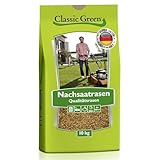 Classic Green