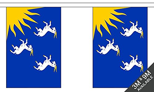 Flagtex Merionethshire Fabric Bunting – 3m with 10 Flags – Premium Indoor & Outdoor Decoration — image 1