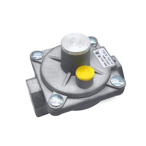 Acesidn 1/2" Propane Gas Regulator - Convertible Natural Gas and Propane, 1/2 PSI Inlet, 10" LPG/4" NG Outlet, CSA Certified