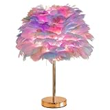 ZYLEIESENBAO Colorful Feather Lamp Creative Teen Feather Table Lamp Romantic Cute Girl Bedside Lamp Nightstand Light Pretty Fluffy Desk Lamp for Wedding Deco Bedroom Living Room Entryway Hotel