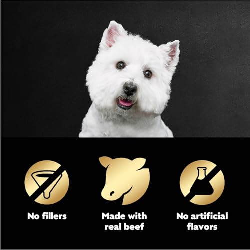 Cesar Filets in Gravy Wet Dog Food Filet Mignon Flavor, 1.76 oz. Mini-Pouch (20 Count, Pack of 1)