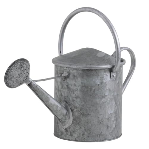 AUBRY GASPARD - Arrosoir Décoratif en Zinc Lourd - Contenance 5 litres - Ø 20 cm x Hauteur 33 cm - Anse Pratique - Idéal pour Décoration de Jardin - Robuste et Résistant à l Humidité