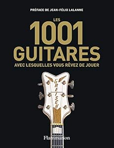 Book's Cover of 1001 guitares