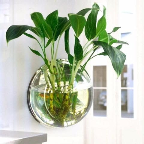 Wall Hanging Fish Bowl | Acrylic | Weather Resistant (Green, 9 inches) (B0DCC172V3) Amazon Price History, Amazon Price Tracker