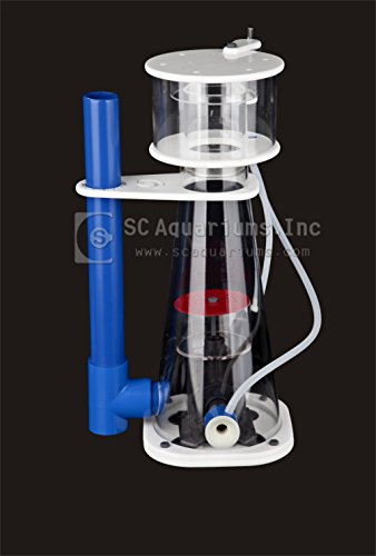 Sca 66 Gallon Starfire Rimless Aquariums Pnp System 32X24X20 10Mm With Built-In Overflow #TOP2