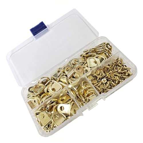 Alipis Ganchos para Colgar Marcos de Fotos en Forma de D Kit de 100 Unidades con Tornillos de Hierro Resistentes Colgadores para Cuadros Profesionales para Hogar Oficina y Sala de