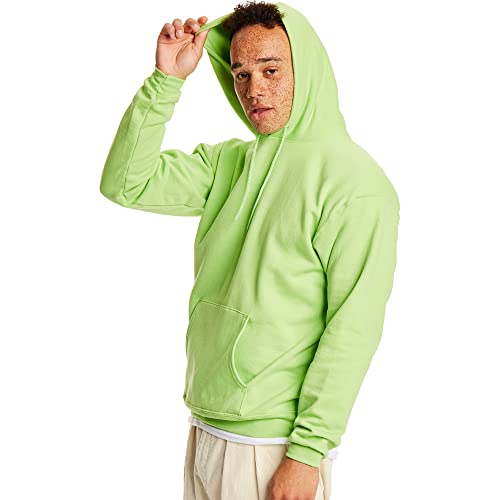 Image of Hanes Men's, EcoSmart, Cotton-Blend Hooded Sweatshirt, Plush Fleece Pullover Hoodie