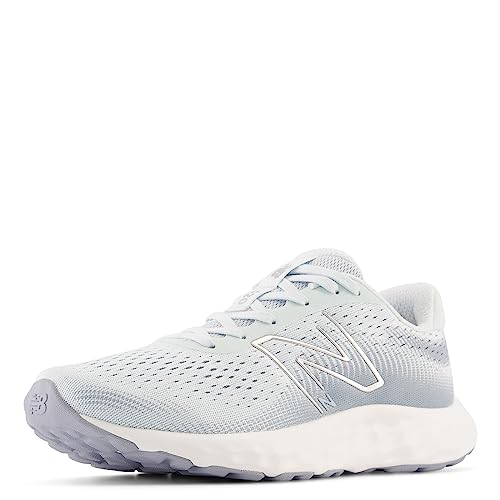 Image of New Balance Women's 520 V8 Shoes, Blue /Ice Blue, 5.5