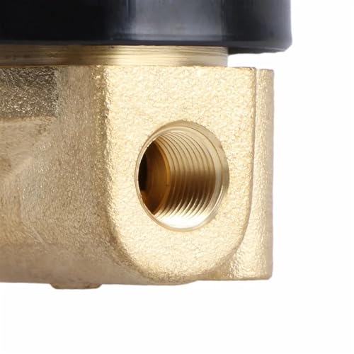 Électrovanne laiton 1/8 haute durabilité Viton 220V CA NF