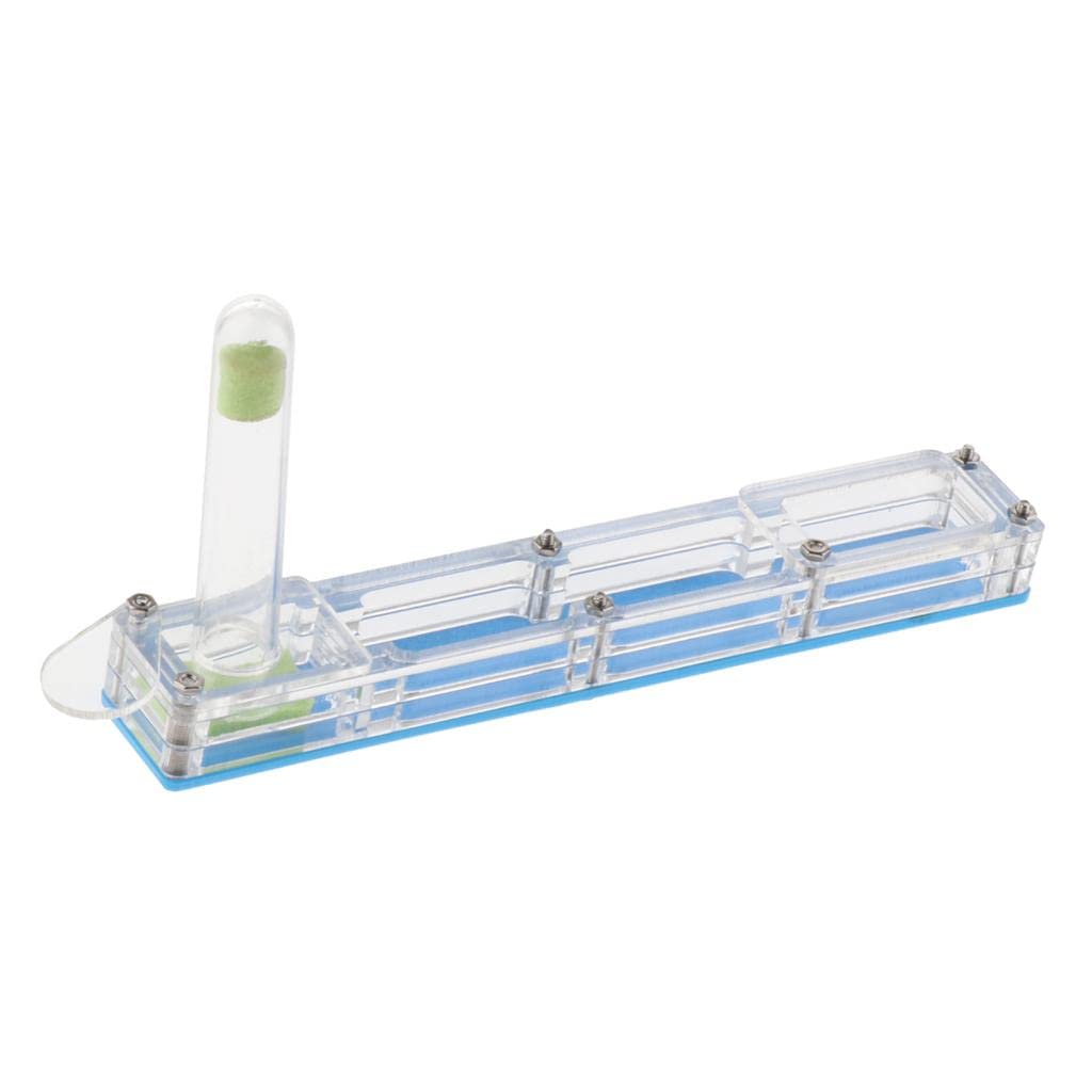 GAH Clear Insect Ant Housing Acrylic Nest Ant Feed Farm Formicarium Box Blue-image-1