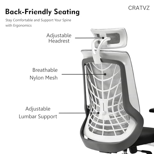 Image of FUGO FG408 Ergonomic High Back Mesh Office Chair,Korean Nylon Mesh,Cushioned Seat,Adjustable Height,Armrests,Lumbar Support,3D Headrest,Tilting Mechanism,Dual Nylon Casters,3-Year Warranty.
