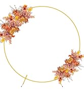 Asee'm 6FT Round Backdrop Stand Gold Circle Balloon Arch Frame Metal for Wedding Party Birthday B...