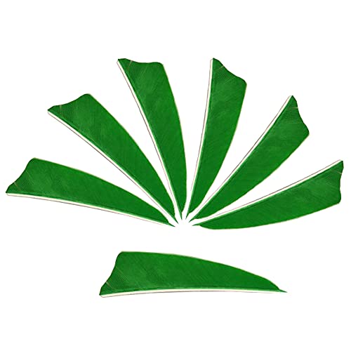 Zzyb 50Pcs Arrow Turkey Feathers Archery Arrow Fletches 3 Inch Natural Feather Fletching Right Wing For Diy Hunting Carbon Arrows (Green) #TOP4