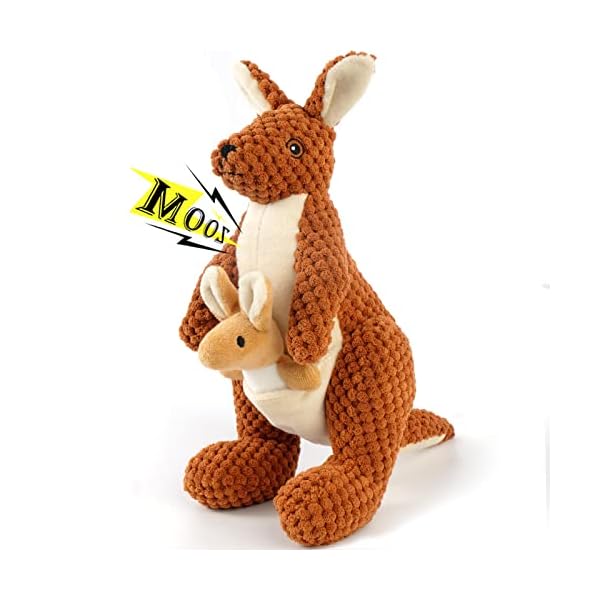 Tough Chew Toys for Medium Dog Breed