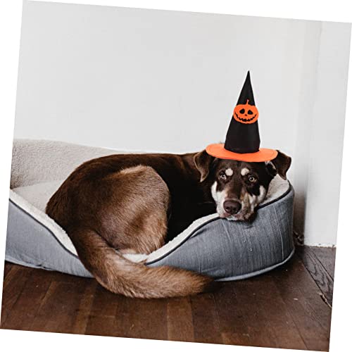 Mipcase 3 Sets Pet Bat Wings Witches Hat Pumpkin Decor Cosplay Costume Halloween Cat Costume Dog Halloween Costume Dog Toys For Small Dogs Cosplay Pumpkin Decor Cat Accessory Kitten Supply #TOP2