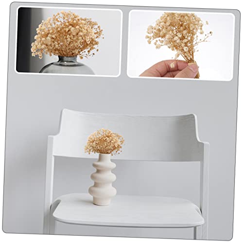 Ramo seco de flores Gypsophila natural para decoración miniatura 4